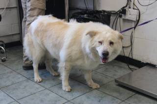 Photo of STELLA