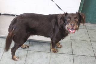 Photo of BETSIE