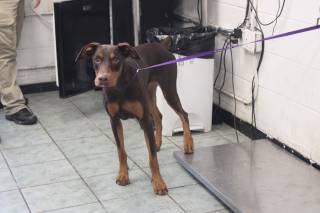 Photo of MAVERICK